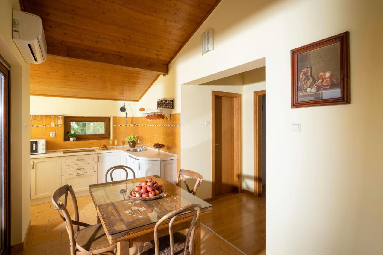 Apartment Villa Ema Krapinske Toplice Exteriér fotografie